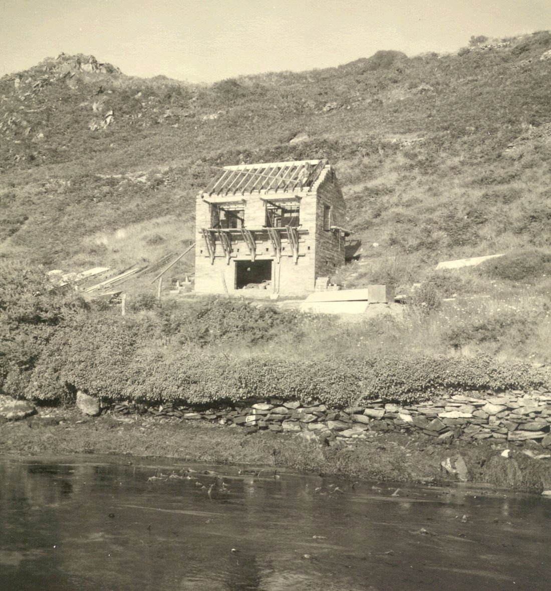 dromadoon